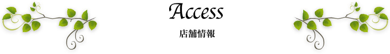 access